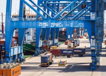 ميناء دمياط يستقبل 36500 طن ذرة و 17500 طن فول صويا و 3014 رأس ماشية