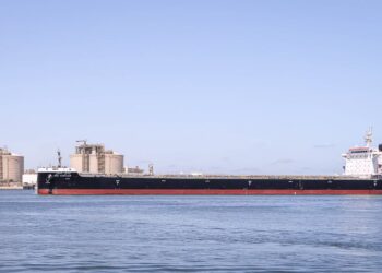 ميناء دمياط يستقبل 24820 طن ذرة و 400 طن فول صويا و 1765 رأس ماشية