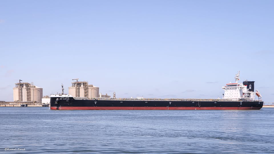 ميناء دمياط يستقبل 24820 طن ذرة و 400 طن فول صويا و 1765 رأس ماشية