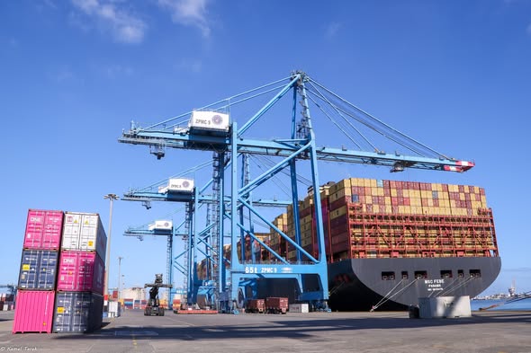 ميناء دمياط يستقبل 40732 طن ذرة و 11294 طن قمح