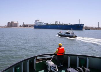 ميناء دمياط يستقبل 26102 طن ذرة و 10125 طن فول صويا