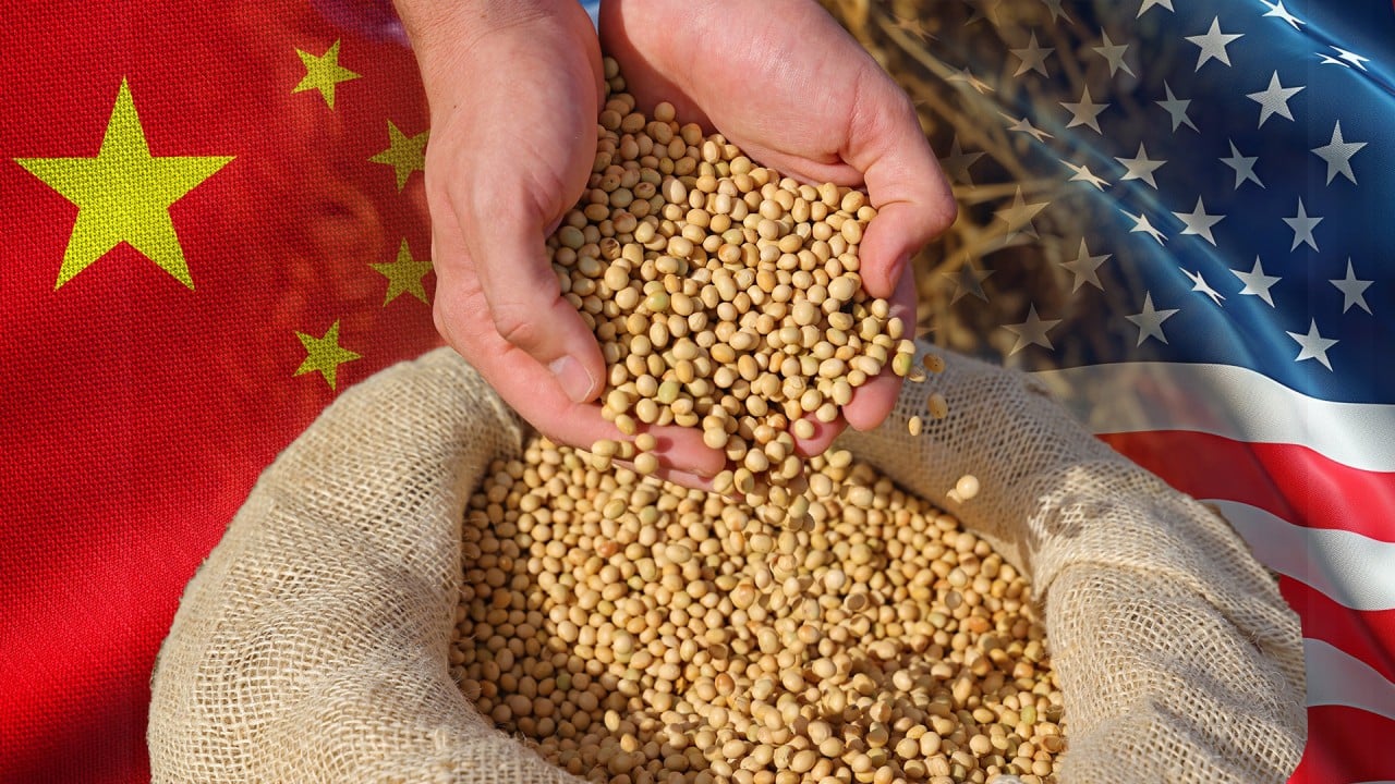 ترامب: الصين ستشتري كميات "ضخمة" من فول الصويا الأمريكي