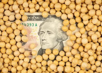 فول الصويا يسجل أعلى مستوياته في 4 أشهر وسط آمال التوصل إلى اتفاق تجاري أمريكي صيني
