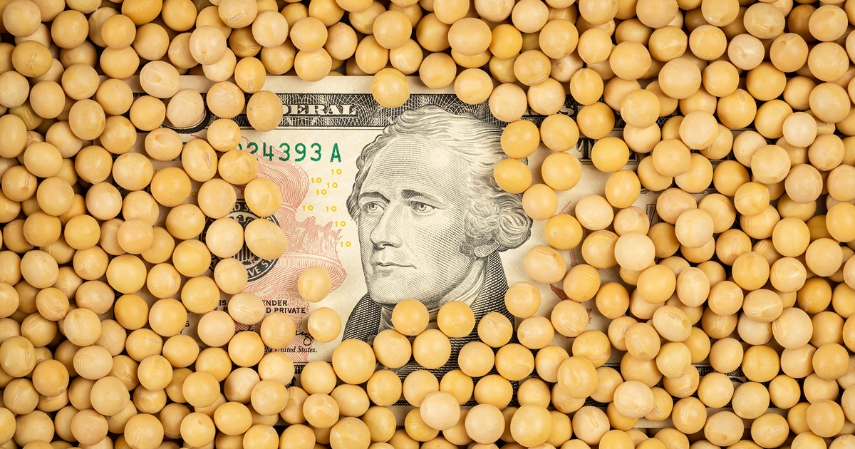 فول الصويا يسجل أعلى مستوياته في 4 أشهر وسط آمال التوصل إلى اتفاق تجاري أمريكي صيني