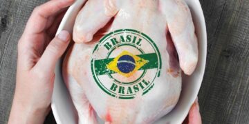 الدواجن البرازيلية