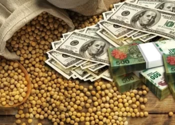 الإعفاء الضريبي على الصادرات الزراعية في الأرجنتين يثير حالة من جنون الشراء