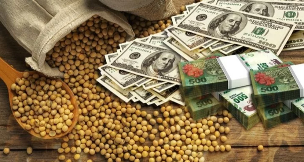 الإعفاء الضريبي على الصادرات الزراعية في الأرجنتين يثير حالة من جنون الشراء