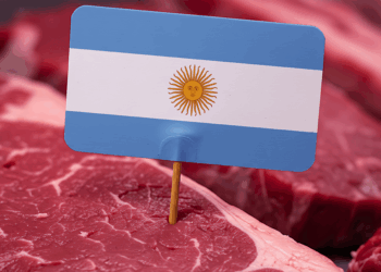 صادرات لحوم البقر الأرجنتينية تنمو وتصل إلى أعلى حجم شهري في عام 2025