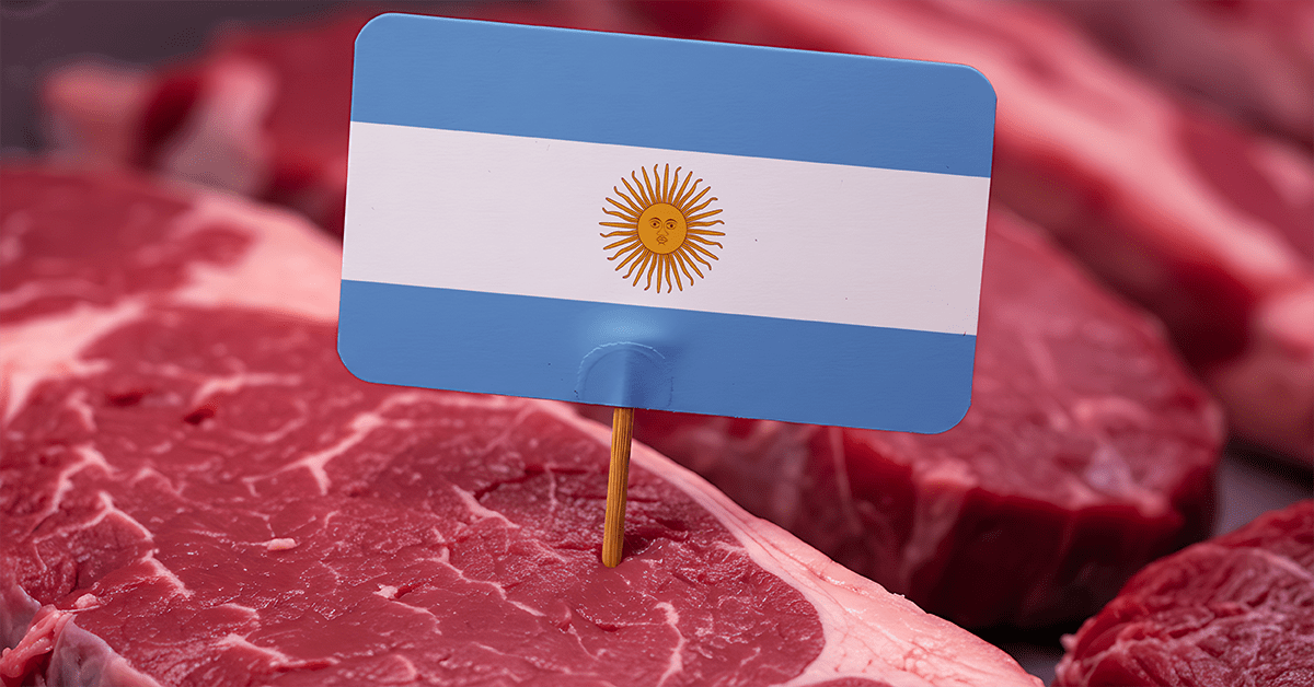 صادرات لحوم البقر الأرجنتينية تنمو وتصل إلى أعلى حجم شهري في عام 2025