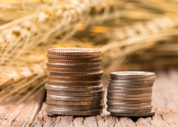 انخفاض عقود القمح بنهاية تعاملات الإثنين إلى أدنى مستوى لها على خلفية وفرة الإمدادات العالمية