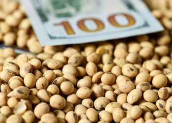 انخفاض العقود الآجلة لفول الصويا بنهاية تعاملات الثلاثاء مع تشكك المتداولين في الصفقة الأمريكية الصينية