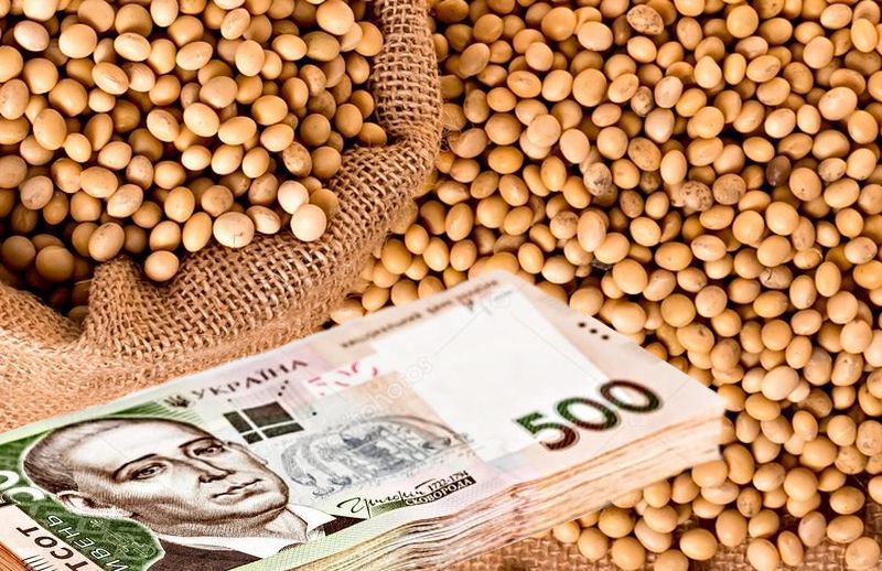أسعار فول الصويا في السوق الأوكراني لا تزال منخفضة بسبب انخفاض الطلب على الصادرات