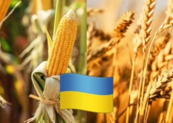 صادرات أوكرانيا من الحبوب تقترب من 7 ملايين طن