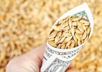 عقود القمح تنهي تداولات الخميس على ارتفاع في 3 بورصات عالمية