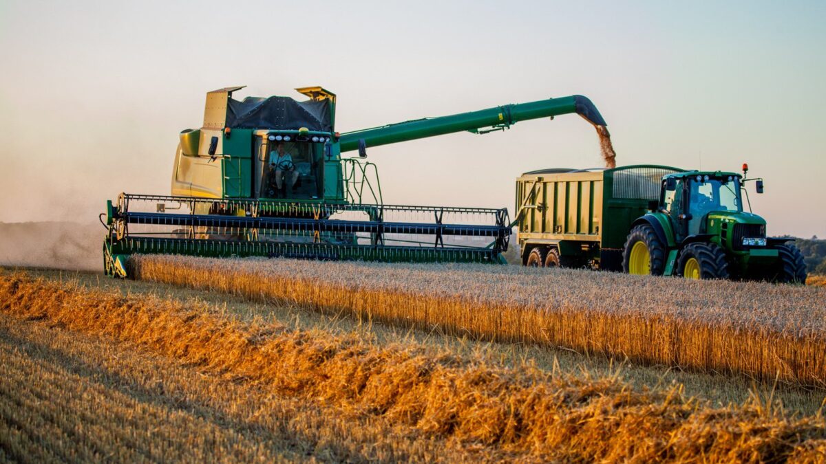 بينهم 3.45 مليون طن ذرة.. أوكرانيا تحصد أكثر من 33 مليون طن من الحبوب