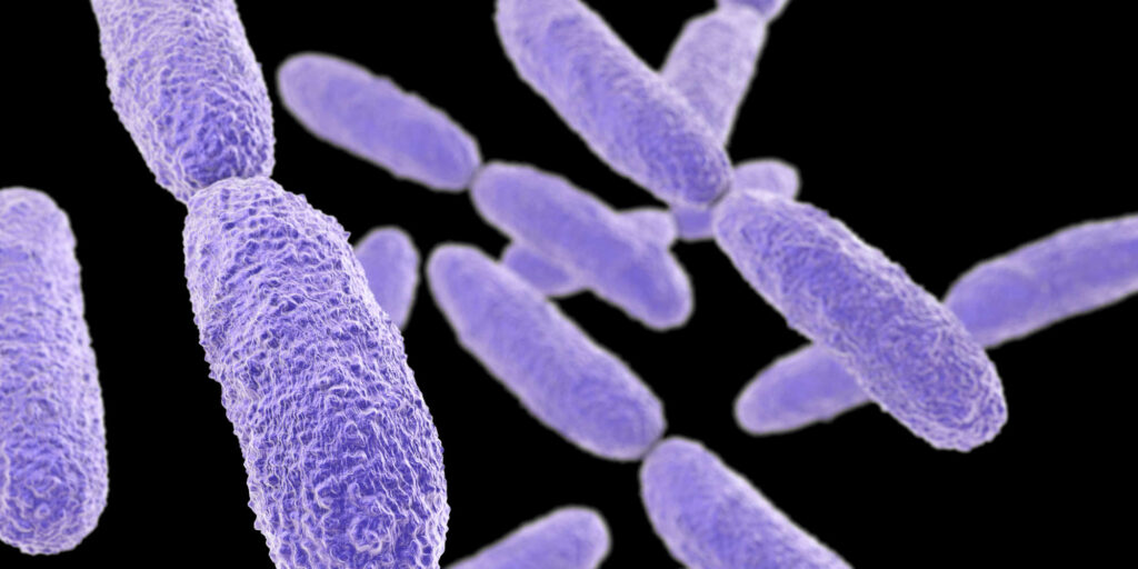 الكلبسيلا الرئوية