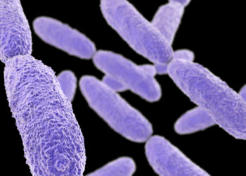 الكلبسيلا الرئوية