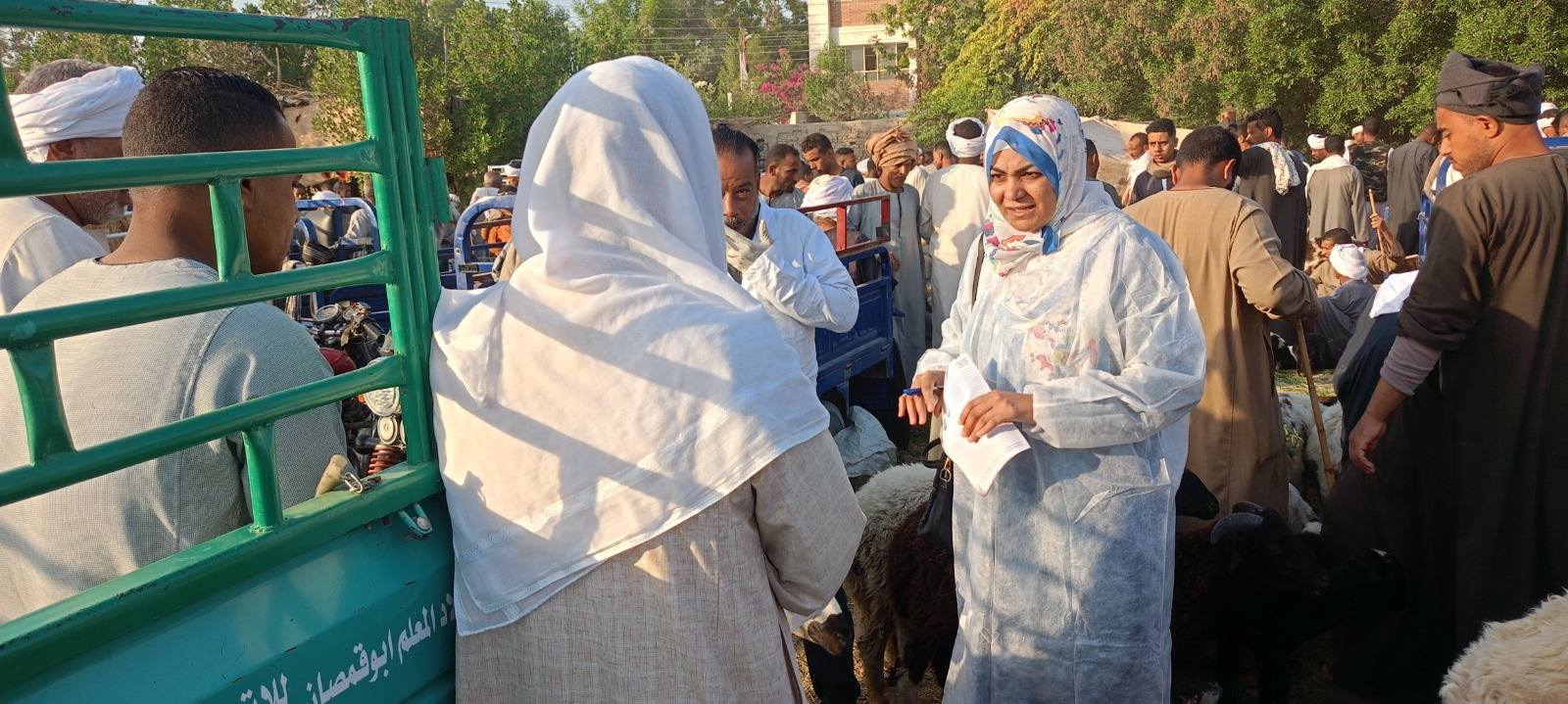 تحصين أكثر من 700 ألف رأس في أول 5 أيام من الحملة القومية لتحصين الماشية