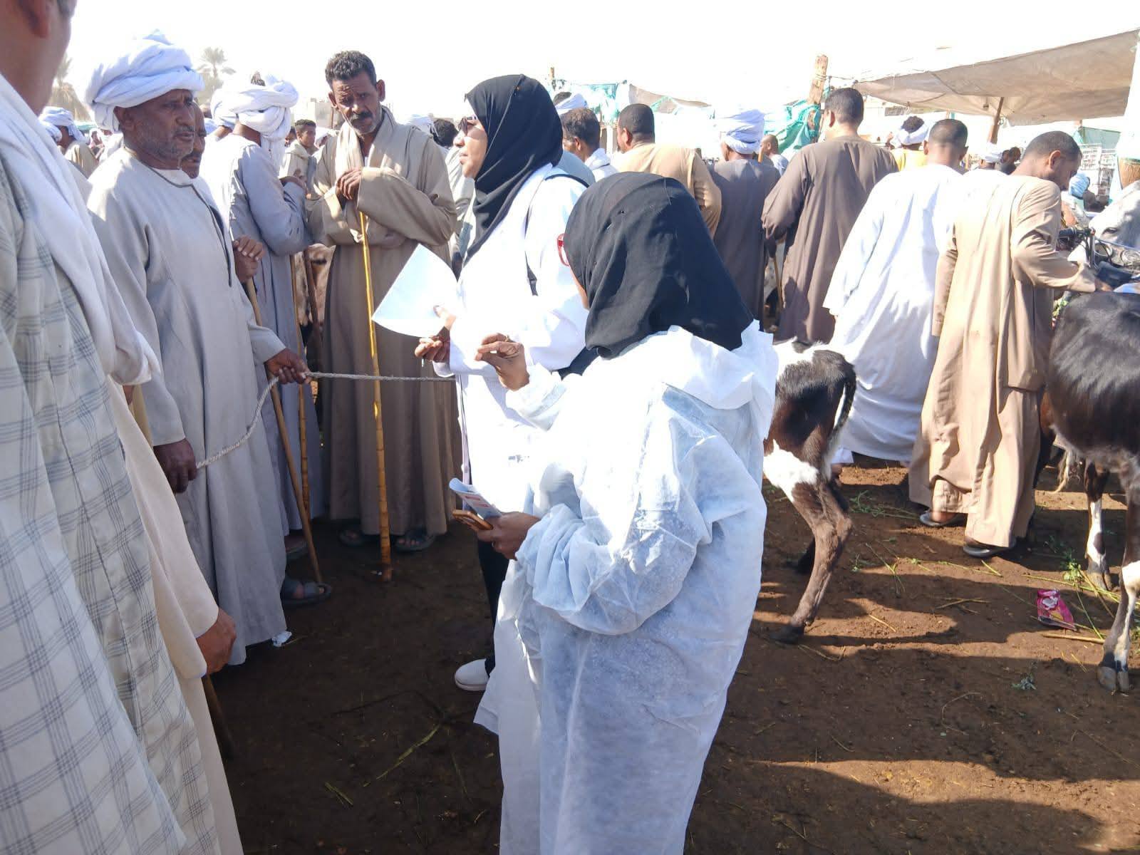 تحصين أكثر من 700 ألف رأس في أول 5 أيام من الحملة القومية لتحصين الماشية