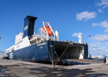 ميناء دمياط يستقبل 5850 طن ذرة و 11131 طن فول صويا