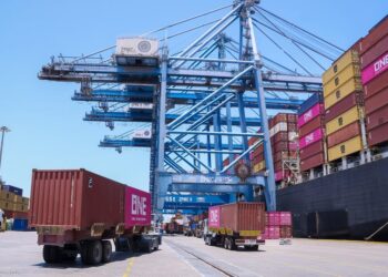 ميناء دمياط يستقبل 5862 طن ذرة و 8071 طن قمح