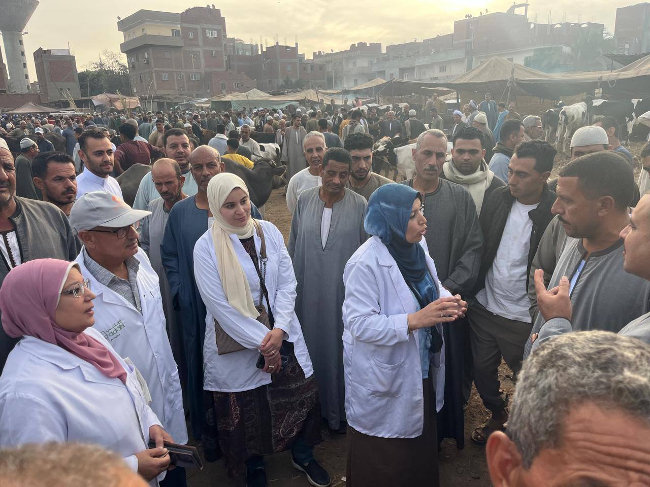 الزراعة: انتاج 8 ملايين جرعة من لقاح العترة الجديدة للحمى القلاعية محليا وتحصين 4 مليون رأس ماشية