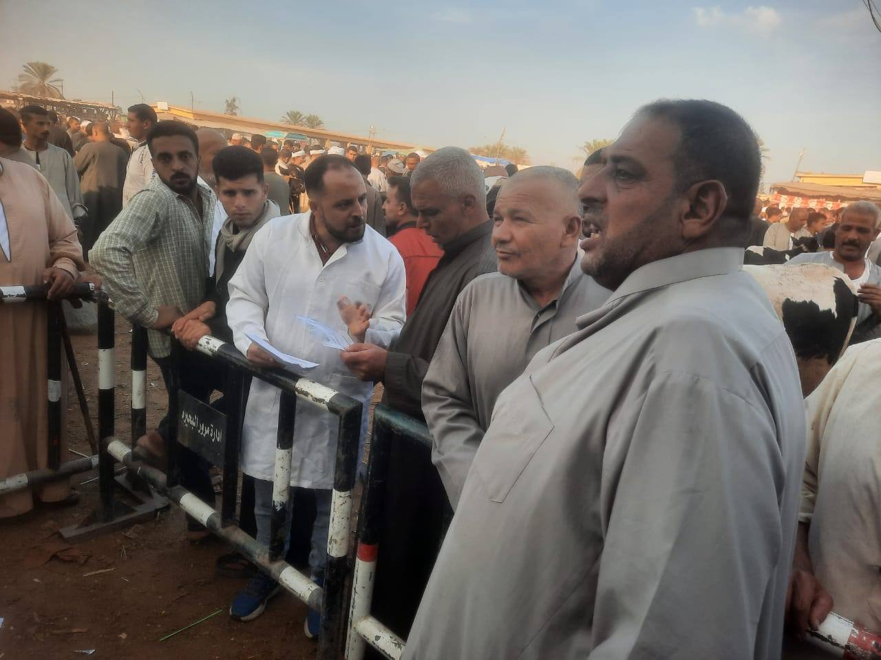 "صندوق التأمين على الثروة الحيوانية" ينظم حملة توعوية بيطرية مكثفة لدعم صغار المربين بالبحيرة