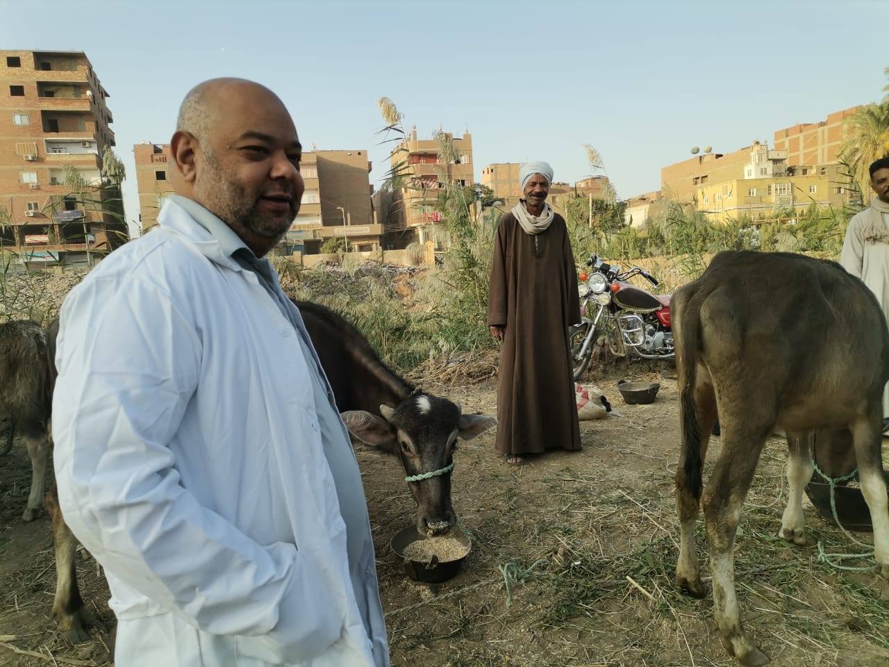 "الزراعة" تكثف حملاتها على أسواق الماشية بالمحافظات لمتابعة استقرار الوضع الوبائي