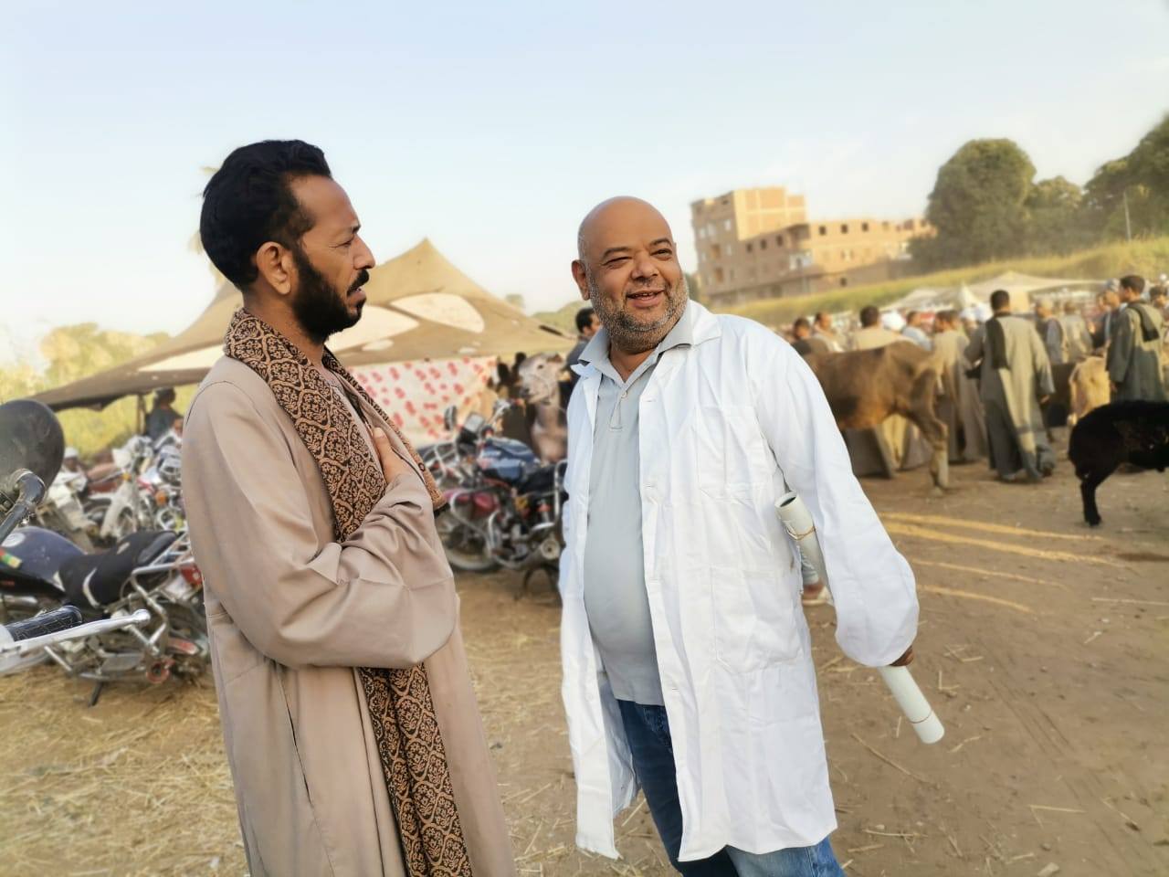 "الزراعة" تكثف حملاتها على أسواق الماشية بالمحافظات لمتابعة استقرار الوضع الوبائي