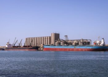 ميناء دمياط يستقبل 10585 طن ذرة و 8885 طن قمح