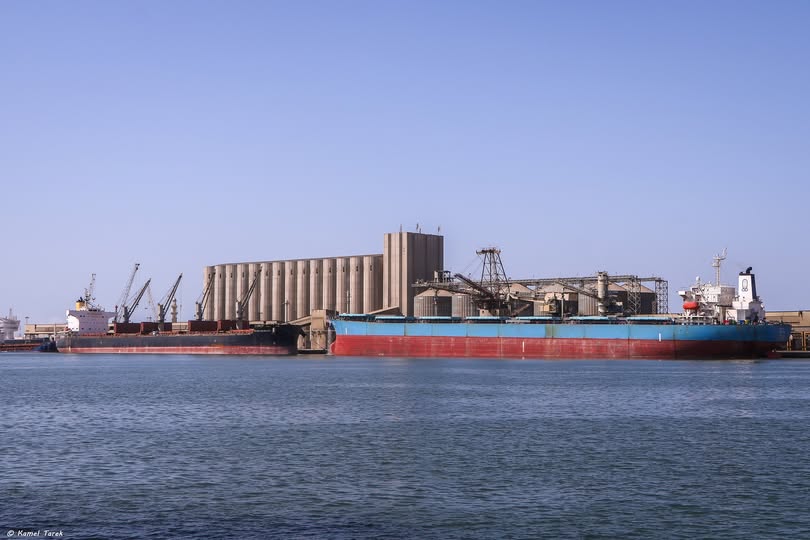 ميناء دمياط يستقبل 10585 طن ذرة و 8885 طن قمح