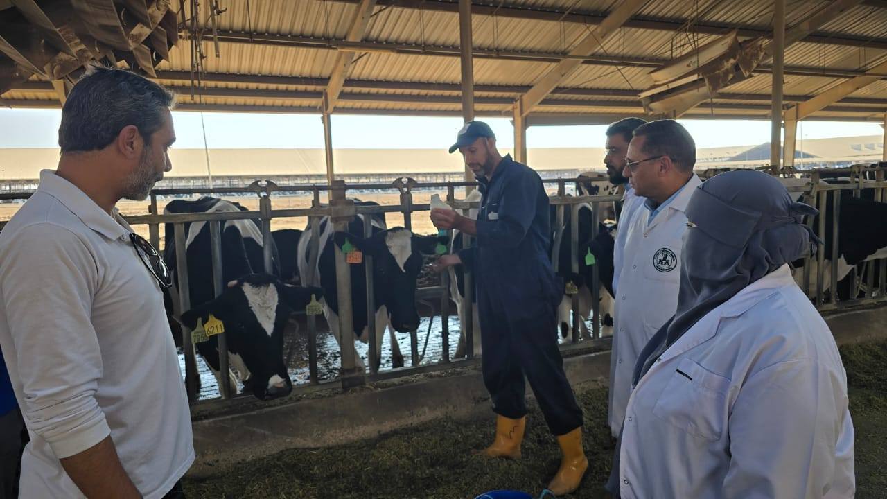 "الزراعة" تُحصّن أكثر من 2.2 مليون رأس ماشية ضمن حملتها القومية وتواصل التشديد الرقابي على الأسواق