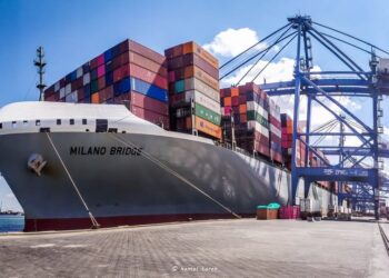 ميناء دمياط يستقبل 31359 طن ذرة و 7393 طن قمح