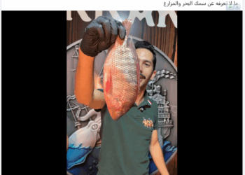 البلطي المصري