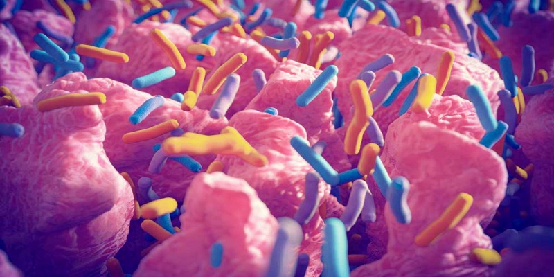 الكلبسيلا الرئوية