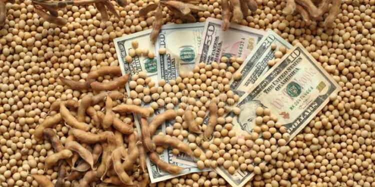 فول الصويا الأوكراني