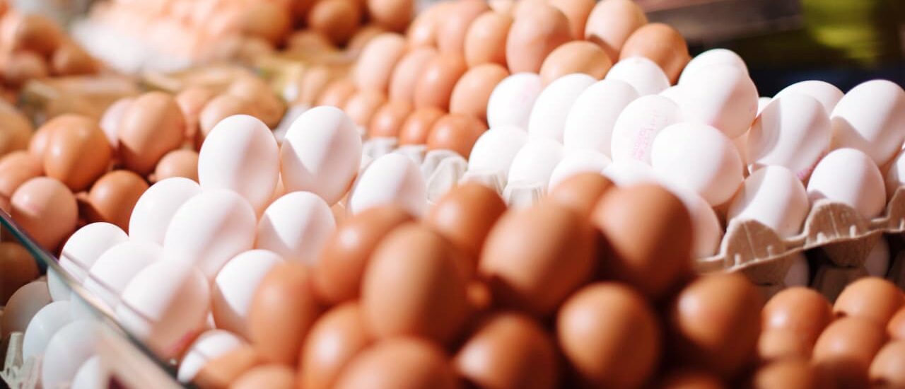 صادرات البيض البرازيلي تنمو بنسبة 13.6٪ في أكتوبر