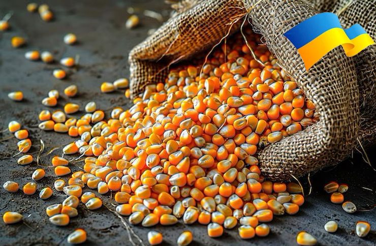أوكرانيا تصدر أكثر من 0.5 مليون طن من الحبوب في الأسبوع الأول من نوفمبر