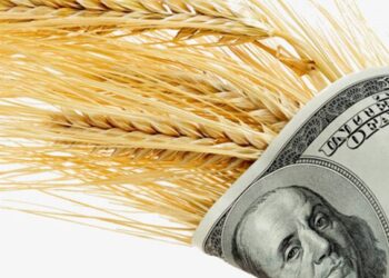 العقود الآجلة للقمح تغلق تداولات الأربعاء على ارتفاع