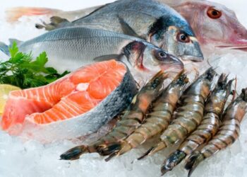 أسعار الأسماك.. ارتفاع البلطي والبوري واستقرار بقية الأصناف اليوم الأربعاء