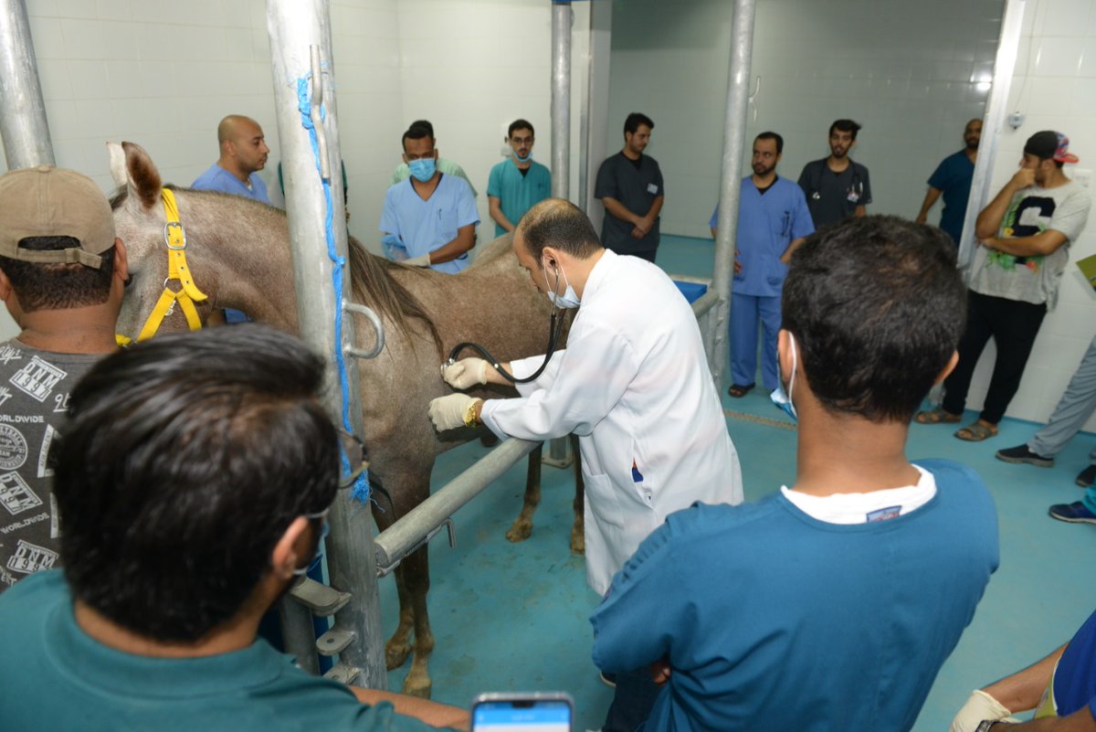 الطب البيطري