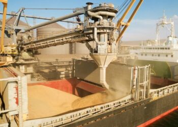 روسيا تحدد حصة تصدير الحبوب بـ 20 مليون طن للفترة من فبراير-يونيو 2026