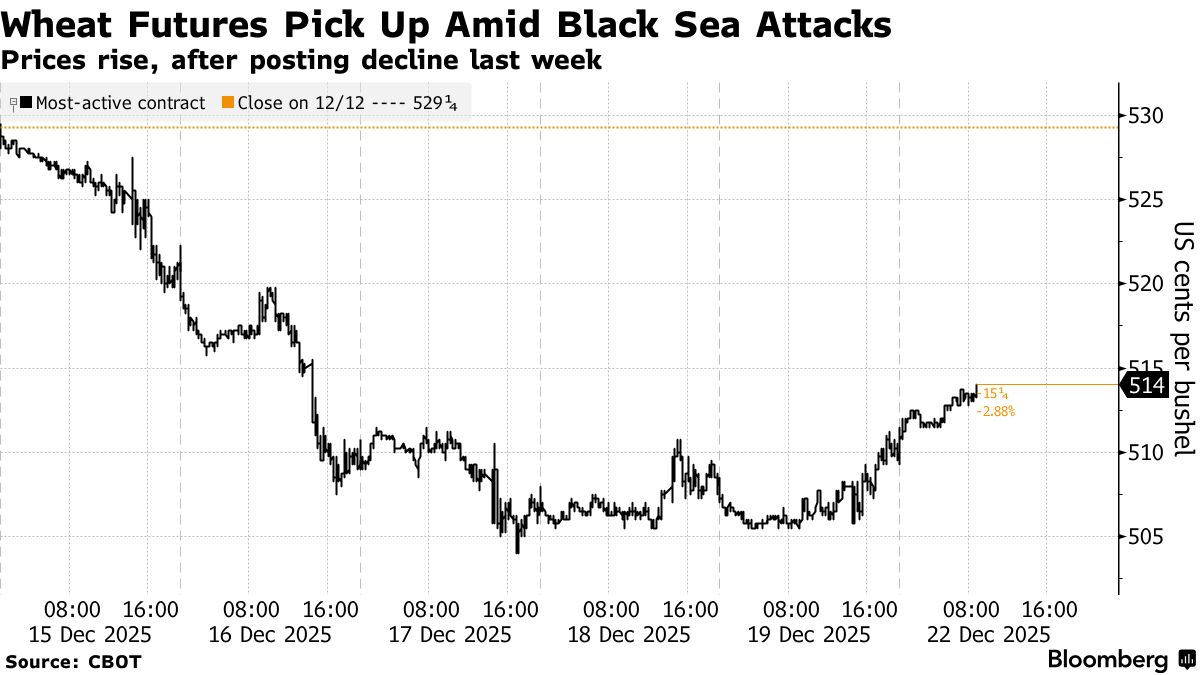 التصعيد في البحر الأسود يزيد المخاطر على صادرات الحبوب العالمية