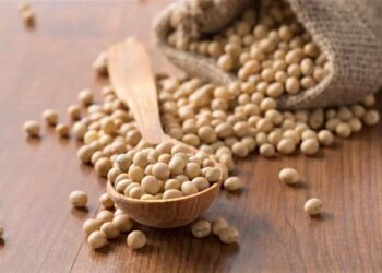 عقود فول الصويا الآجلة تتعرض لضغوط شديدة لتتراكم خسائرها الأسبوعية بأكثر من 2.5٪