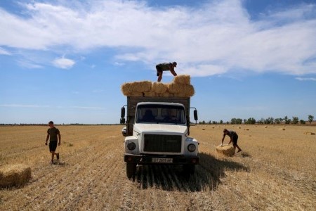اتحاد التجار الأوكراني يرفع توقعاته لمحصول الحبوب والصادرات لموسم 2025-2026