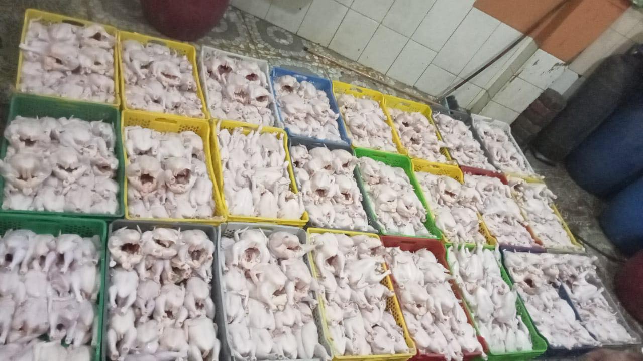 الفراخ السردة