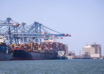 ميناء دمياط يستقبل 22030 طن قمح و 18584 طن فول صويا