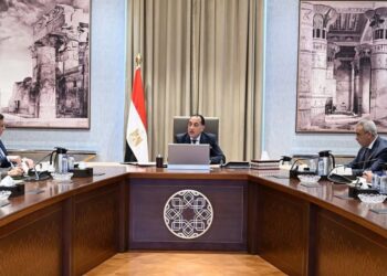 رئيس الوزراء: استقرار وانخفاض أسعار الدواجن يحقق التوازن في القطاع