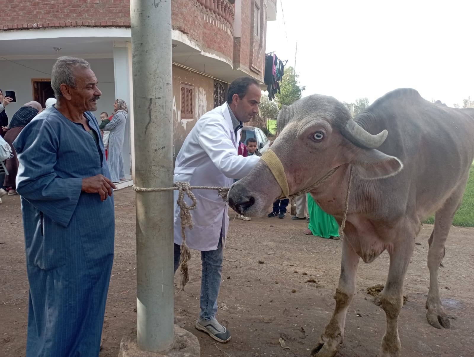 الزراعة: الحالة الوبائية مستقرة ولم نسجل أي إصابات نشطة بالأمراض الوبائية