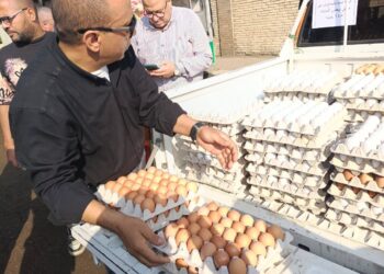 الزراعة تطرح منتجات غذائية بأسعار تنافسية بأقل 20% عن سعر السوق عبر المنافذ المتنقلة